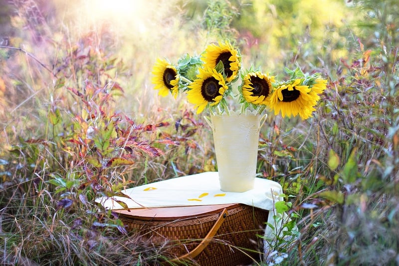 Officiant Arrangements